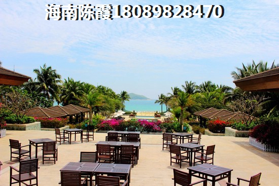 海南地恒花园还会生纸吗