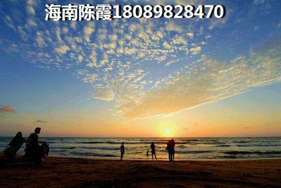 双大·野奢世界产权