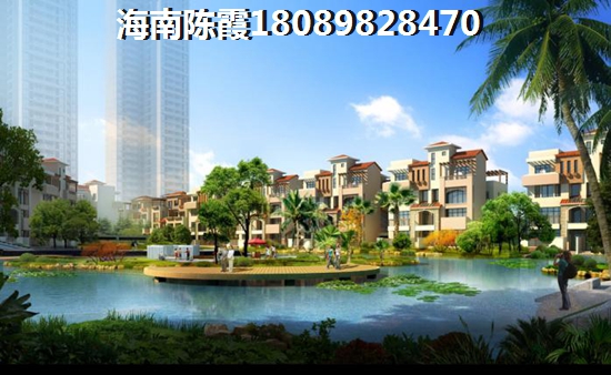 海南保亭的房子未来会生纸吗？
