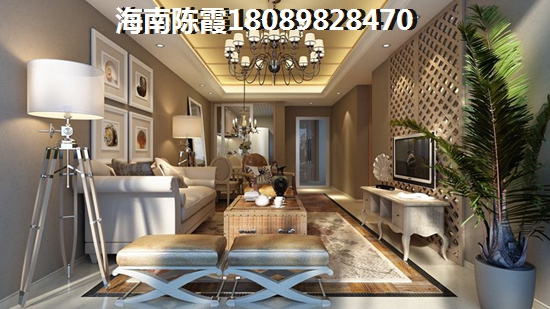 东北人在海南养老买房选哪个楼盘