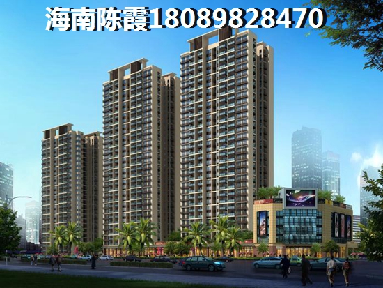 为何那么多北方人喜欢在海南购房4