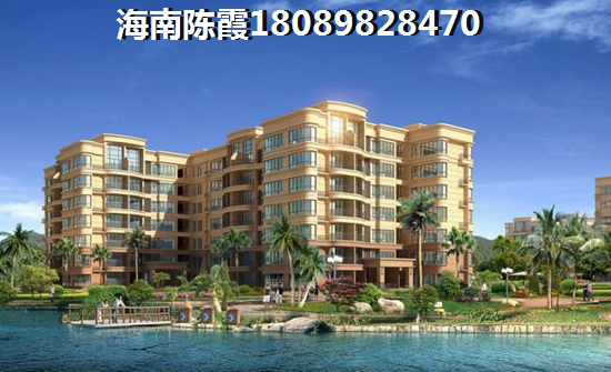 >2022海南买房指南