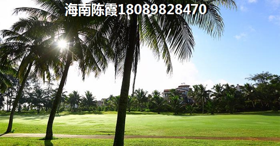 保亭还能生纸吗？1