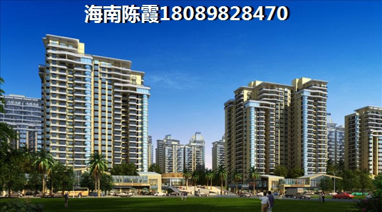 海南房产touzi参考（海南房子还可以生纸吗）