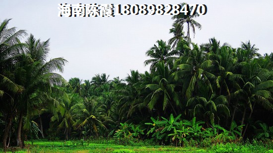 买保亭的房子的优缺点 买保亭的房子的优缺点