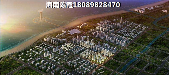 海南醉能生纸的房子排名