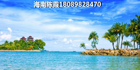 南国雨林房价下跌了吗？