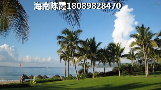 手游兔子技能选什么
