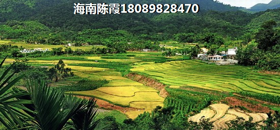 暘的组词有哪些 暘的组词有哪些