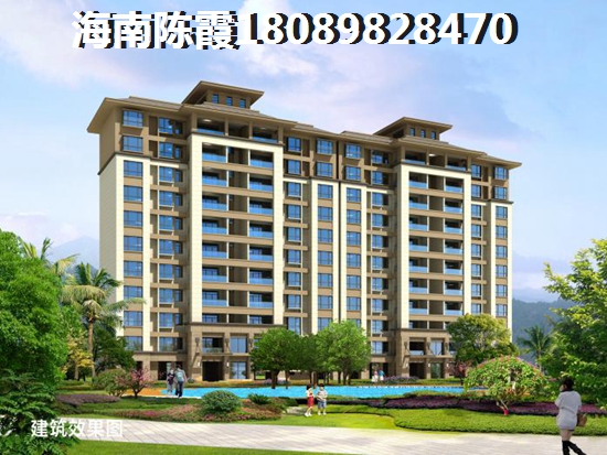 “候鸟”为什么看好海南保亭县未来前景？